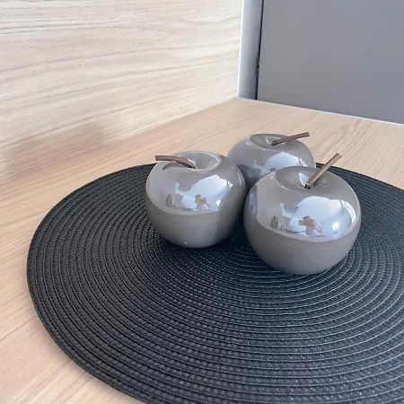 Appart hôtel Studio 23 M2+wifi +parking Privé Oullins